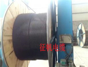 陜西市場10kV架空絕緣導(dǎo)線JKLGYJ 150/25參數(shù)詳解